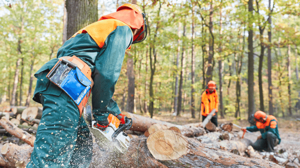 Logging accident