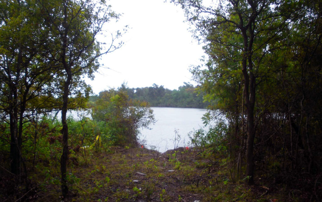 Wooded shoreline at the Clear Lake boating-crash scene, looking toward Clear Creek.